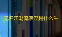无名江湖流浪汉是什么生肖